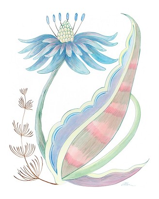 24 x 30 Seasational (IBG)