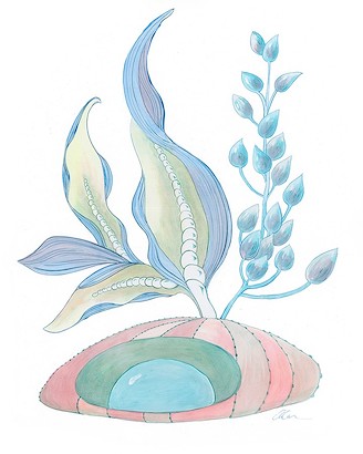24 x 30 The Pearl Next Door (IBG)