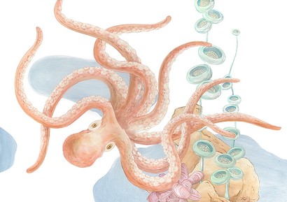 34 x 24 Octopus Garden (IBG)