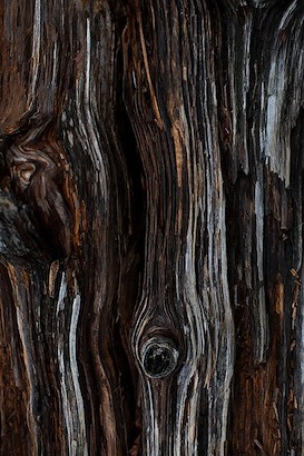 24 x 36 Grove Collection IV (IBG)