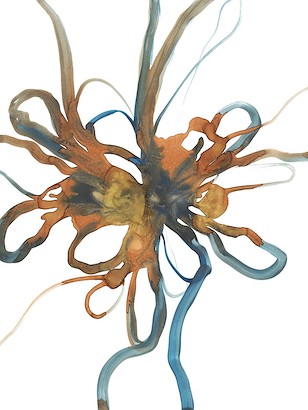 30 x 40 Traits Brown Avec II (IBG)