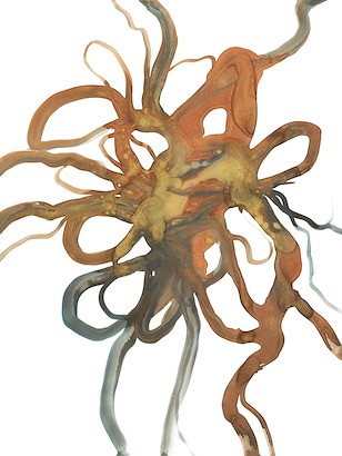 30 x 40 Traits Brown Avec III (IBG)