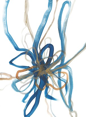 24 x 32 Traits Blue Avec VII (IBG)