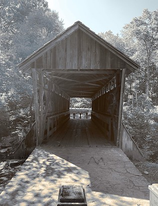 24 x 32 Last Sun (MT)