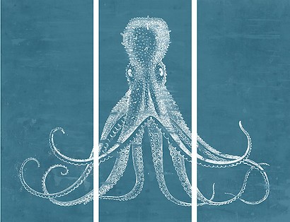 60 x 47 Under Water Creature (Set of 3) II (KG)