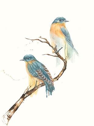 24 x 32 Singing Birds I (IBG)