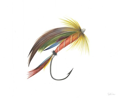 24 x 20 Hooked II (IBG)
