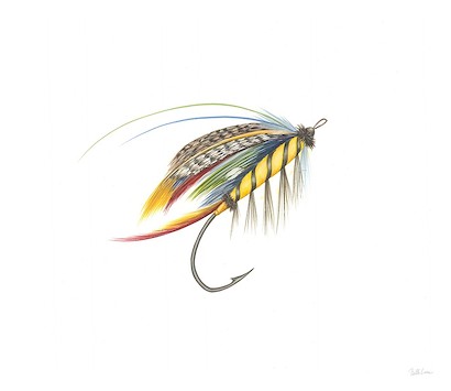 24 x 20 Hooked III (IBG)