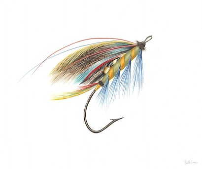 24 x 20 Hooked IV (IBG)