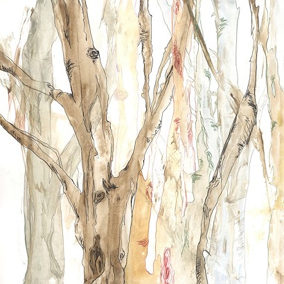 24 x 24 Thoughts of Nature II (IBG)
