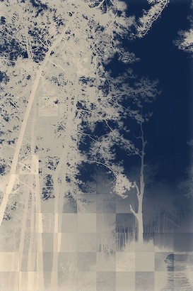 30 x 45 Forest Photogram I (IBG)