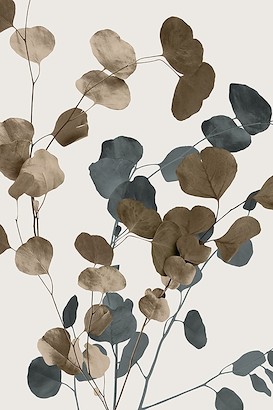 30 x 45 Eucalyptus Sway II (IBG)
