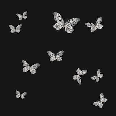 30 x 30 Fluttering Dance Black and Gold I (IBG)