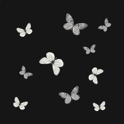 30 x 30 Fluttering Dance Black and Gold II (IBG)