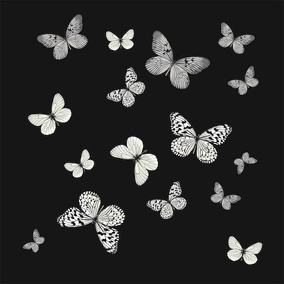 30 x 30 Fluttering Dance Black and Gold III (IBG)