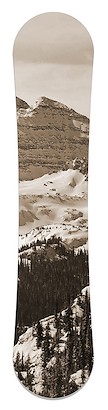 12.5 x 60 Snowy Bells XI (PSN)