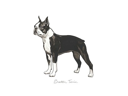 32 x 24 Doggy I (IBG)