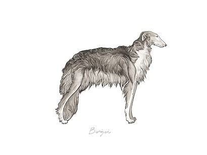 32 x 24 Doggy II (IBG)