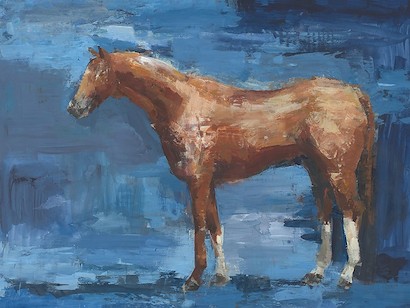 40 x 30 Mare (IBG)