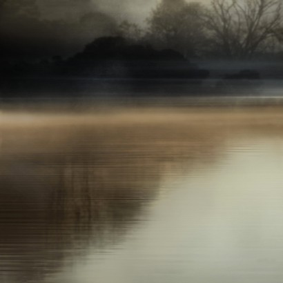 40 x 40 Foggy Wetland I (IBG)