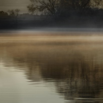 40 x 40 Foggy Wetland II (IBG)