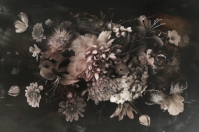 71 x 47 Dark Romance (IBG)