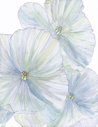 15 x 19.5 Summer Petals I* (OG)