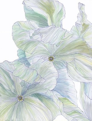 15 x 19.5 Summer Petals II* (OG)