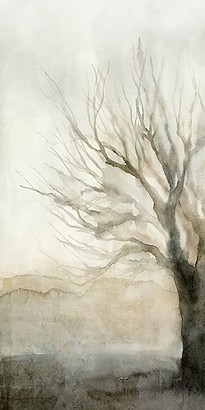 30 x 60 Hundred Years I (IBG)