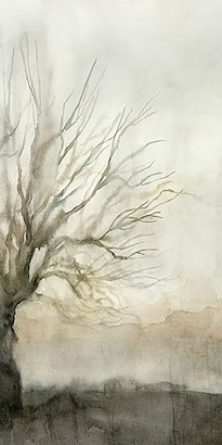 30 x 60 Hundred Years II (IBG)