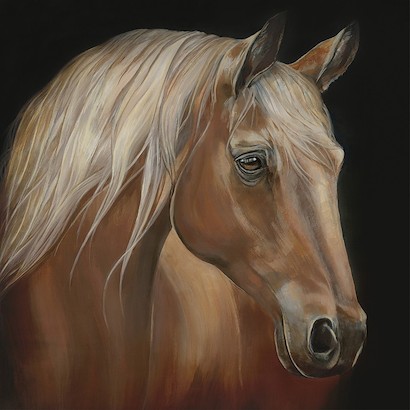40 x 40 Major (IBG)