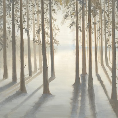 40 x 40 Sunlight on Trees (IBG)