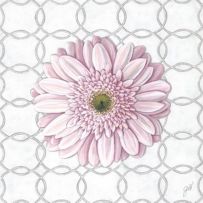 24 x 24 Pretty in Pink III (IBG)