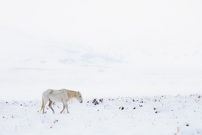 60 x 40 The Old Man in Winter (MT)