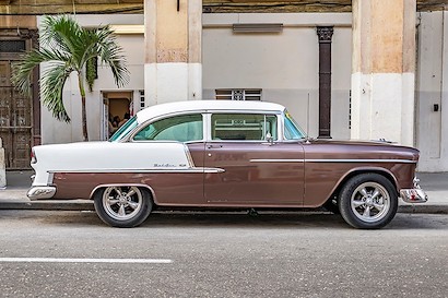 36 x 24 Cuba Brown White (IBG)