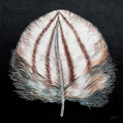 36 x 36 Jolie Plume (IBG)