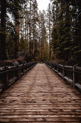 40 x 60 Bridge to the Mighty (MT)