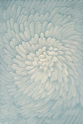 48 x 72 Cosmos (GL)
