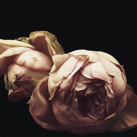 Picture for category ARTIST-Ashley Woodson Bailey
